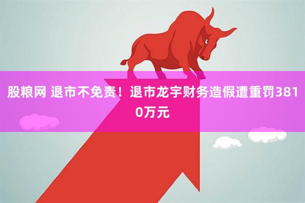 股粮网 退市不免责！退市龙宇财务造假遭重罚3810万元