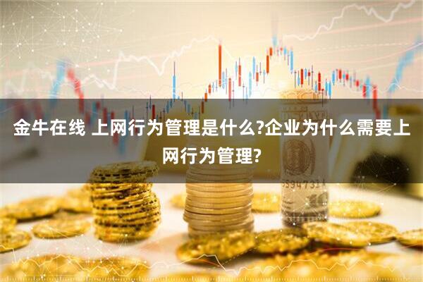 金牛在线 上网行为管理是什么?企业为什么需要上网行为管理?
