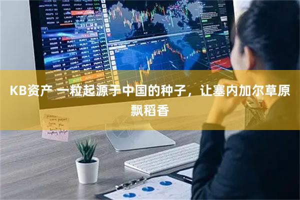 KB资产 一粒起源于中国的种子，让塞内加尔草原飘稻香