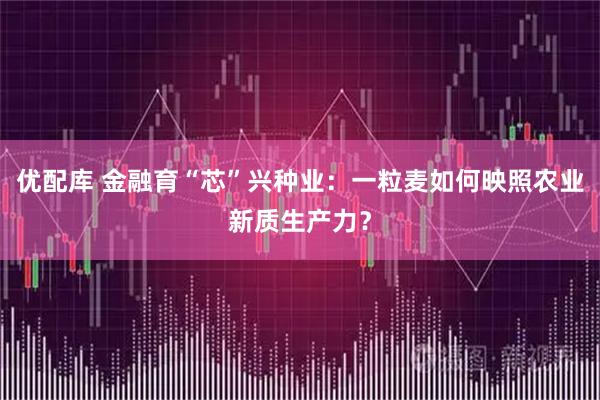 优配库 金融育“芯”兴种业：一粒麦如何映照农业新质生产力？