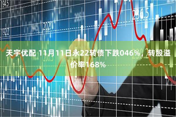 天宇优配 11月11日永22转债下跌046%，转股溢价率168%