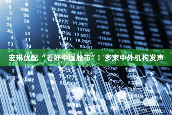 宏琳优配 “看好中国股市”！多家中外机构发声