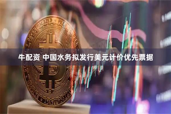 牛配资 中国水务拟发行美元计价优先票据