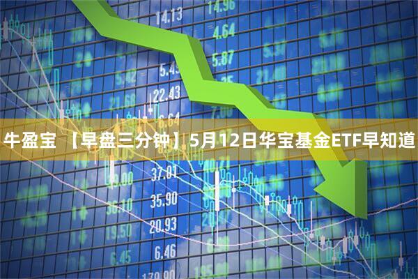 牛盈宝 【早盘三分钟】5月12日华宝基金ETF早知道