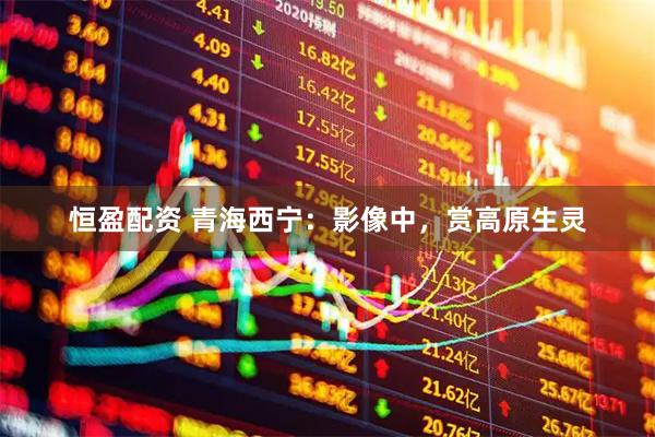 恒盈配资 青海西宁：影像中，赏高原生灵
